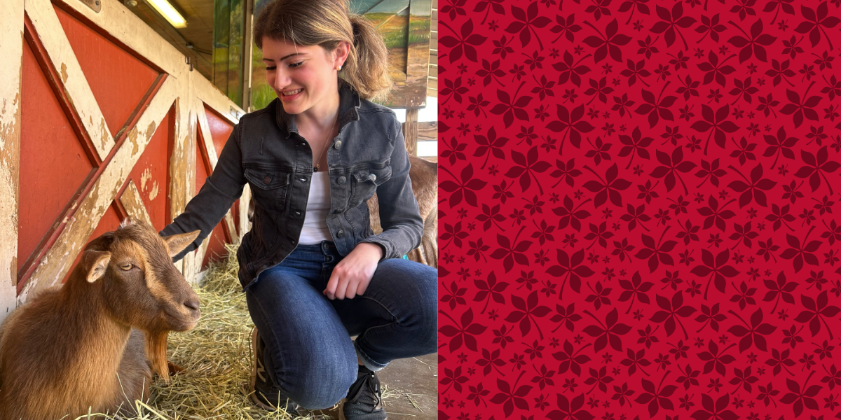 Marissa Johnston and goat header