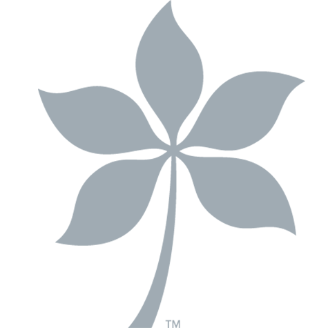 Buckeye Leaf Gray